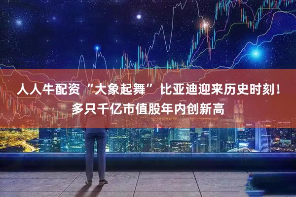 人人牛配资 “大象起舞” 比亚迪迎来历史时刻！多只千亿市值股年内创新高