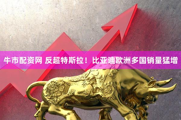 牛市配资网 反超特斯拉！比亚迪欧洲多国销量猛增