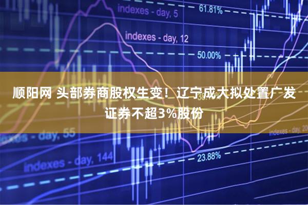 顺阳网 头部券商股权生变！辽宁成大拟处置广发证券不超3%股份