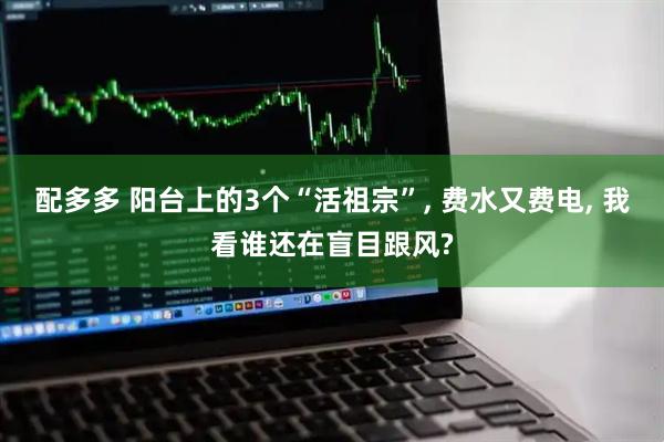 配多多 阳台上的3个“活祖宗”, 费水又费电, 我看谁还在盲目跟风?