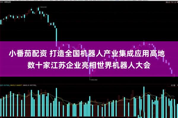 小番茄配资 打造全国机器人产业集成应用高地  数十家江苏企业亮相世界机器人大会