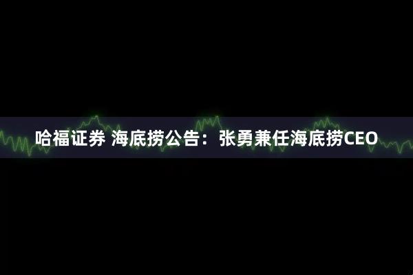 哈福证券 海底捞公告：张勇兼任海底捞CEO